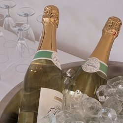 Neujahrsmatinee 2026 Erlenbusch &ndash; Martha Stiftung, Hamburg/Volksdorf (Foto: S. Okroy)